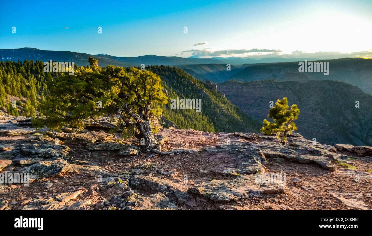 Vue depuis le sentier du plateau du Canyon, dans le parc national de Flaming gorge Utah, vue aérienne à angle élevé de Green River, États-Unis Banque D'Images