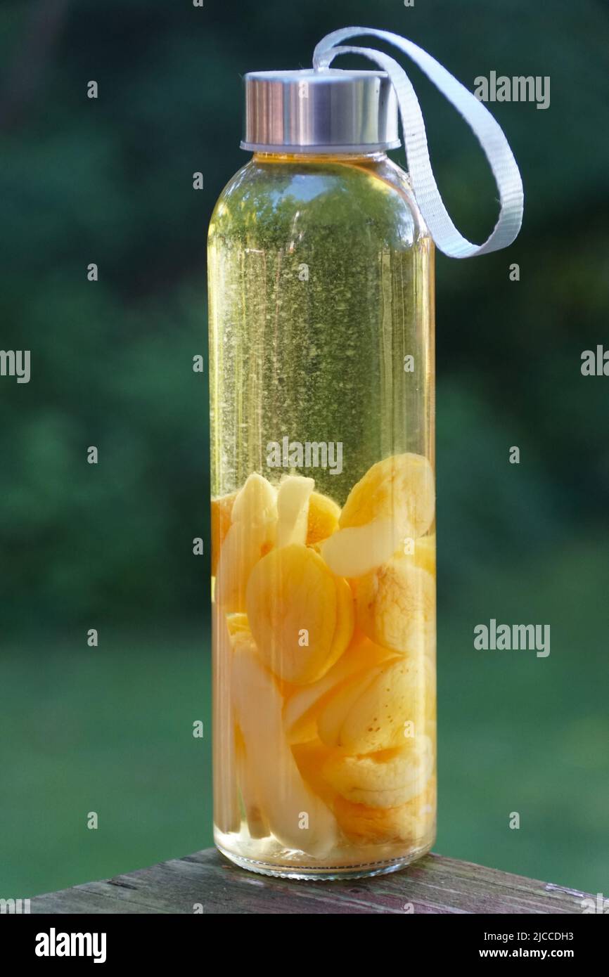 Abricots séchés à l'intérieur d'une bouteille de verre de lune Banque D'Images