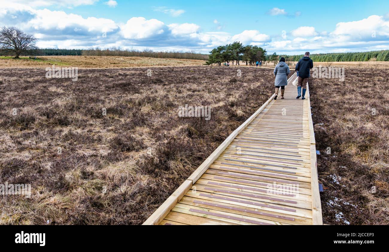 Personnes marchant sur une promenade en bois à travers la réserve naturelle nationale de Blawhorn Moss, West Lothian, Écosse, Royaume-Uni Banque D'Images