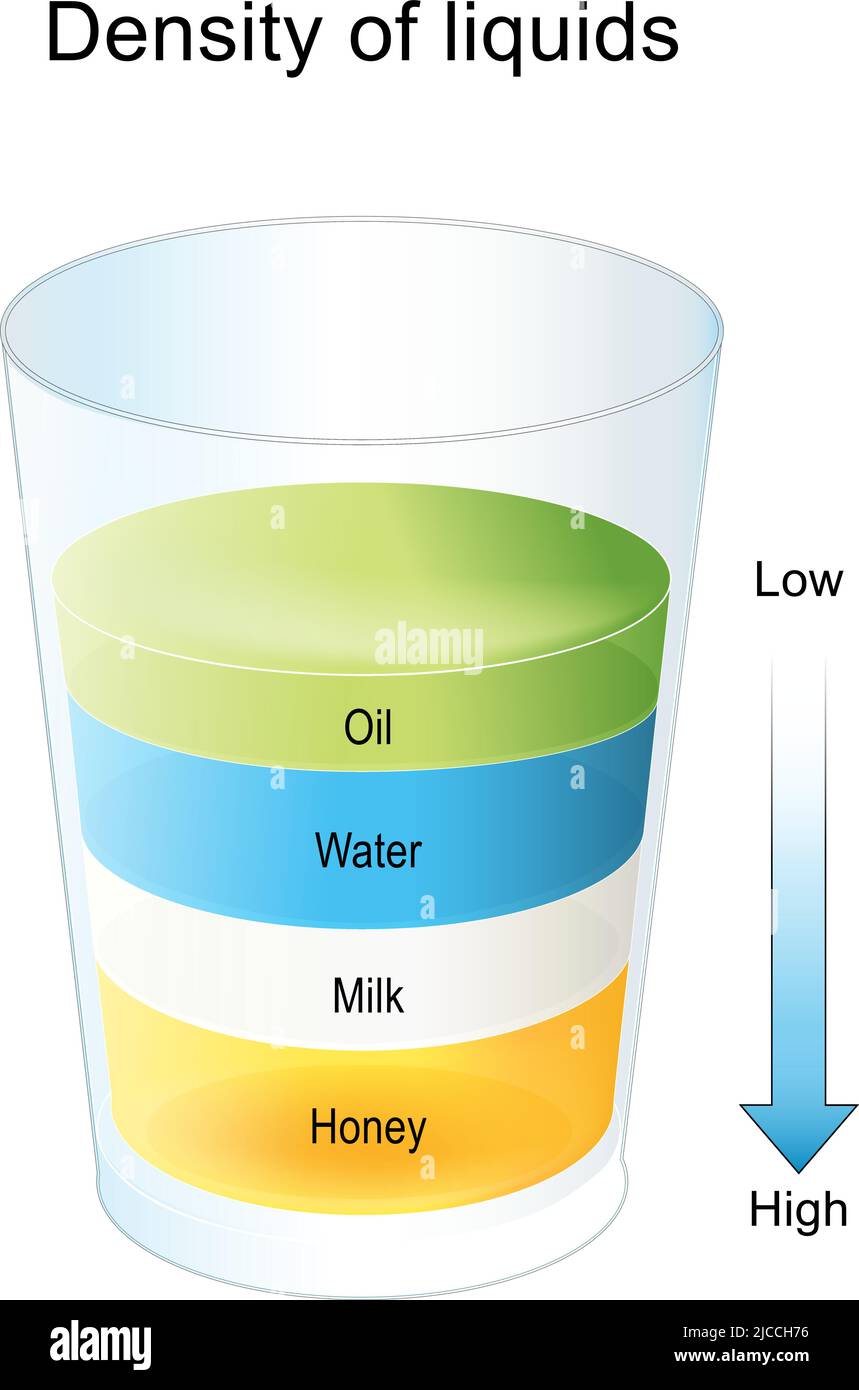 Liquides de densité. Couches de liquides séparées. Miel et lait à haute densité, eau et huile à faible densité. Verre contenant divers liquides colorés Illustration de Vecteur