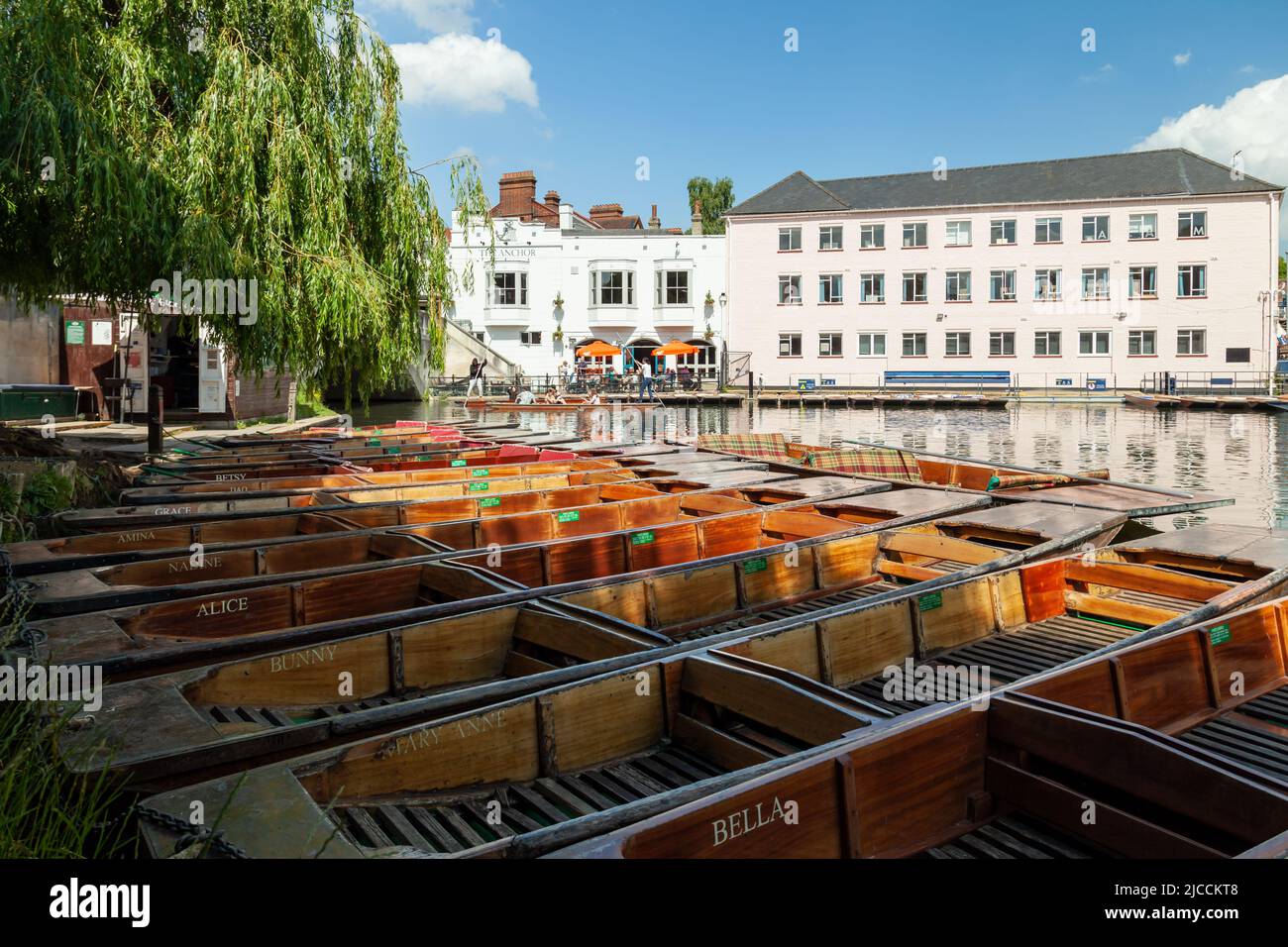 Bateaux de boxe amarrés sur la rivière Cam à Cambridge, en Angleterre. Banque D'Images