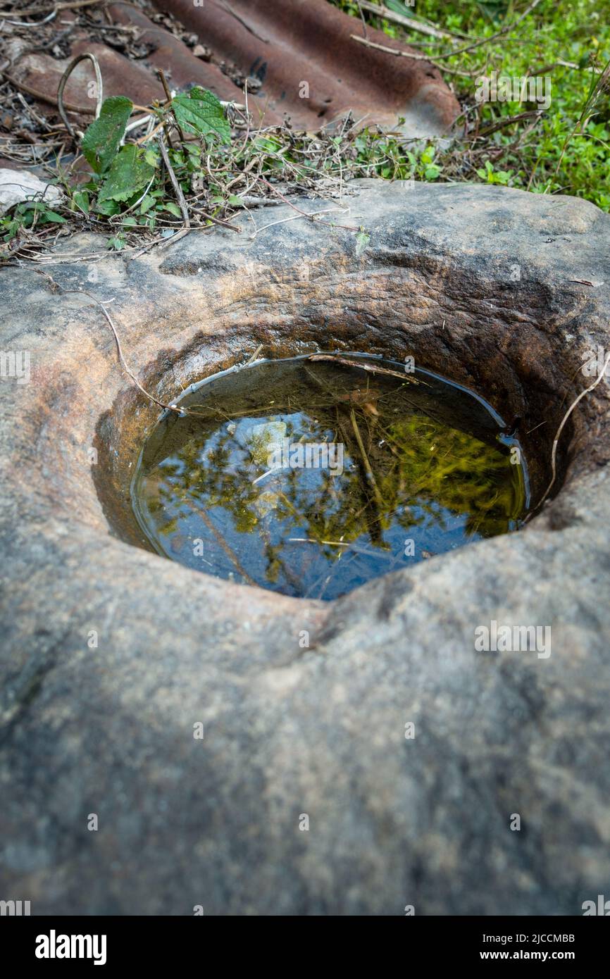 Gros plan d'un pothole rond sur une pierre remplie d'eau de pluie. Uttarakhand Inde. Banque D'Images