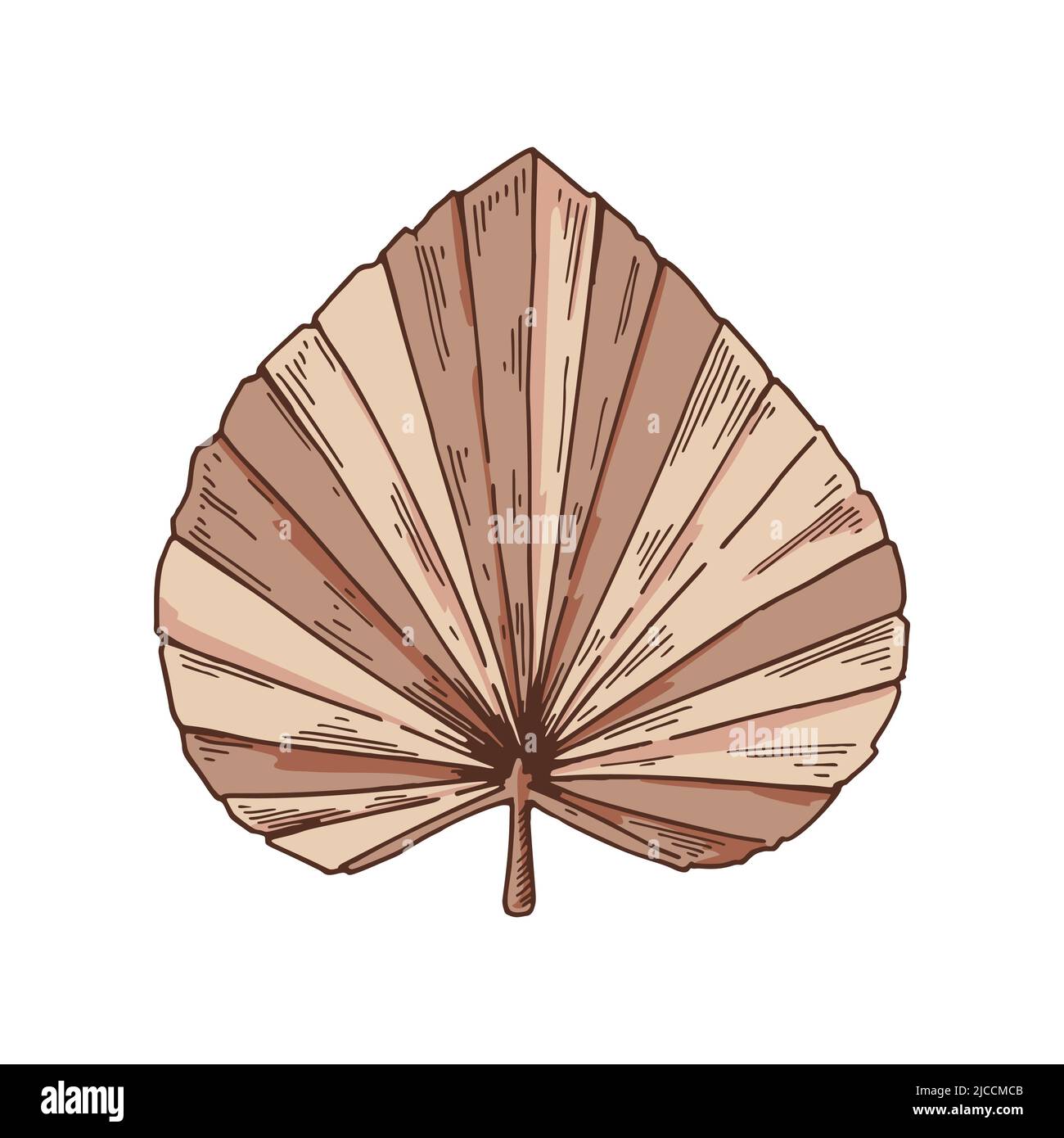 Élément de design floristique moderne dessiné à la main. Feuille de palmier séchée isolée sur blanc. Illustration vectorielle dans le style d'esquisse Illustration de Vecteur