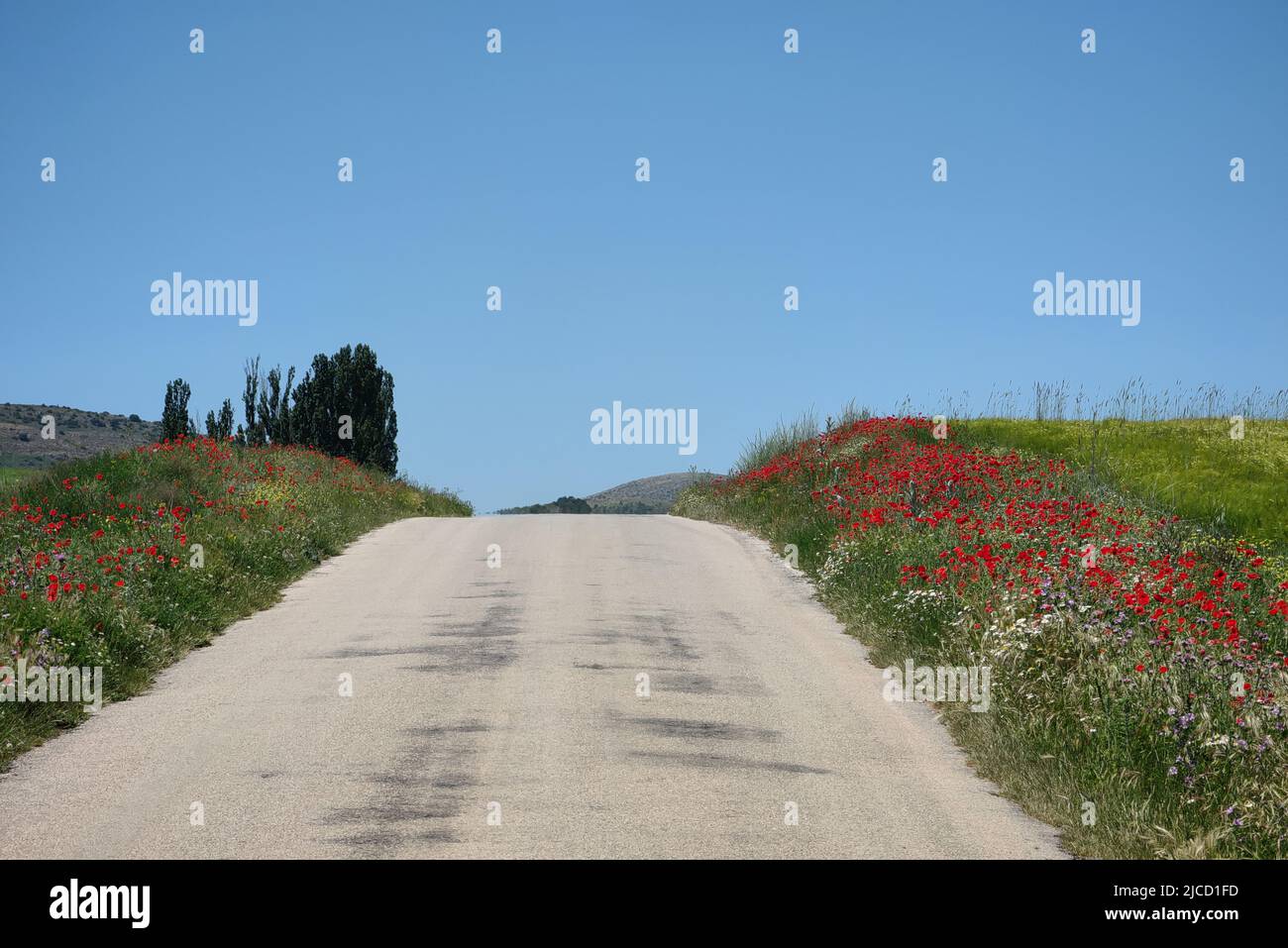 route rurale dans les champs avec des coquelicots et ce fantastique ciel bleu espagnol Banque D'Images