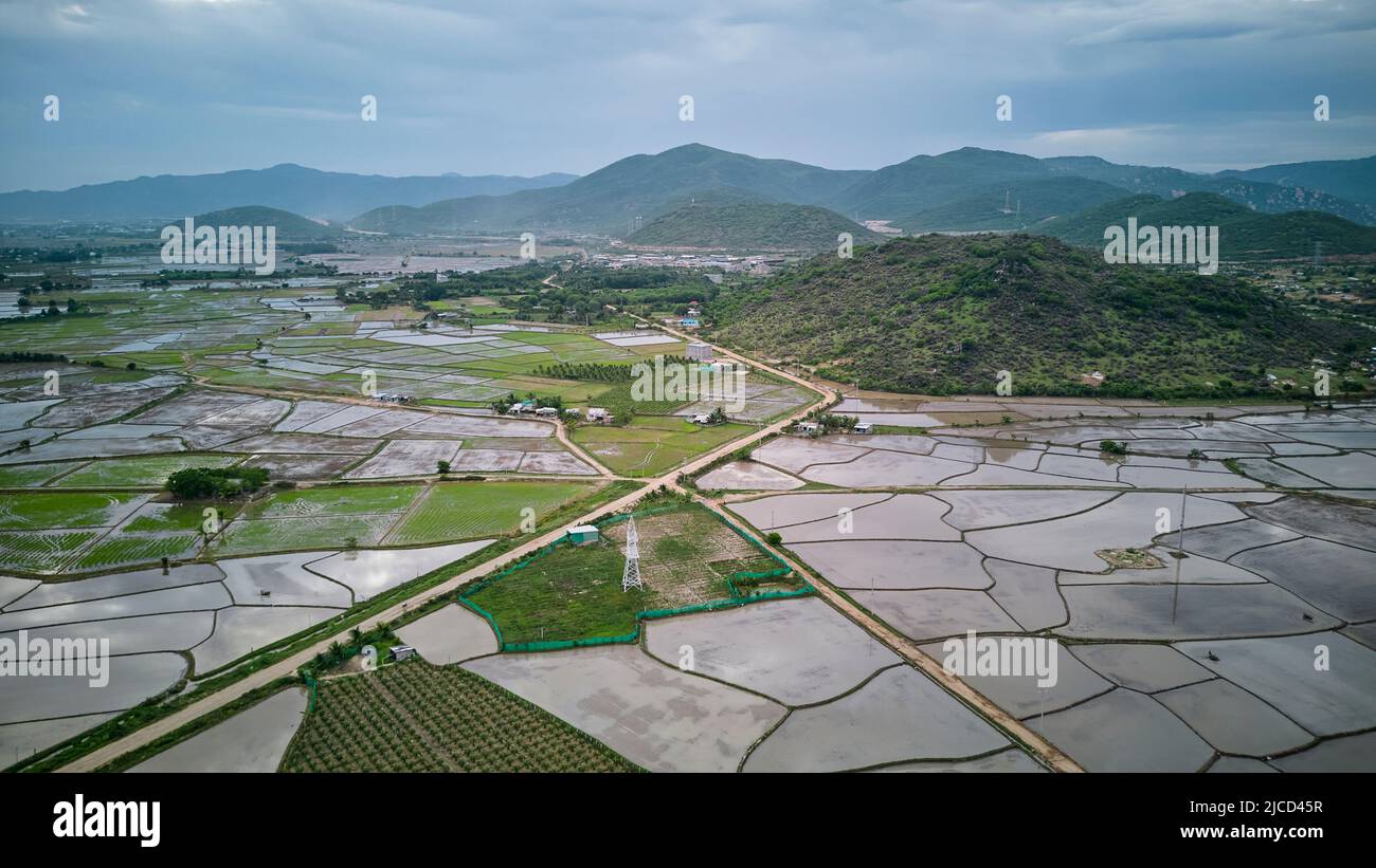 Colline florale de la reine dans le district de Tuy Phong, province de Binh Thuan. Banque D'Images