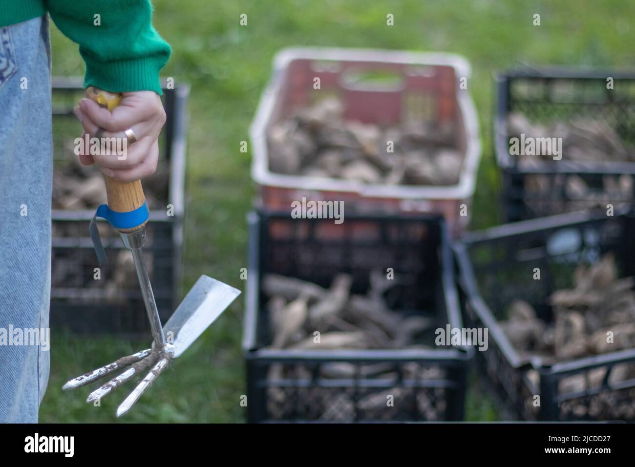 Femme jardinière dans le jardin montre un râteau sur le fond de boîtes en plastique. Le concept de jardinage et d'été durable. Peigne pour jardin Banque D'Images