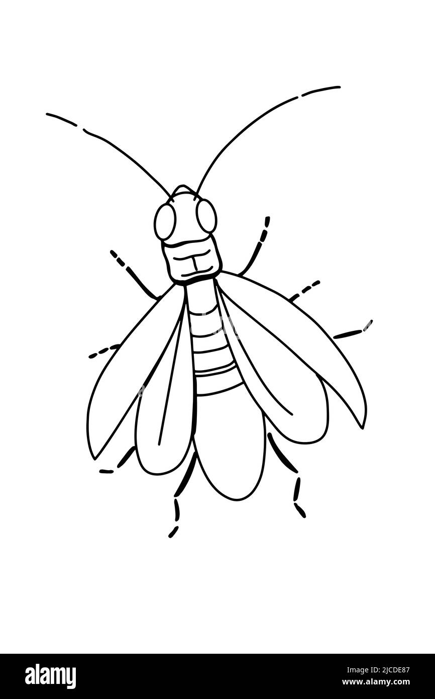 mignon dessin d'illustration de mascotte luciole-stella, coloriage Banque D'Images