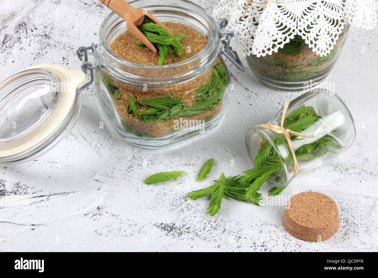 Fermentation les jeunes pousses d'épinette se préparent avec du sucre brun. Remède contre la toux et l'asthme. Homéopathie et médecine populaire naturelle. Banque D'Images