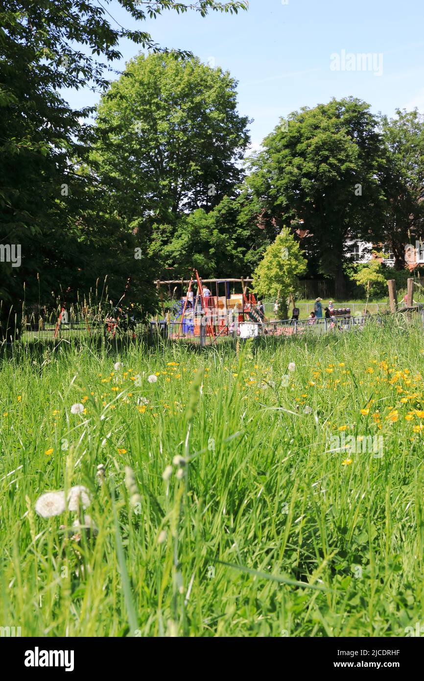 Westow Park, avec des arbres matures et un terrain de jeu pour enfants, près du triangle de Westow et dans le quartier de Croydon, dans le sud de Londres, Royaume-Uni Banque D'Images