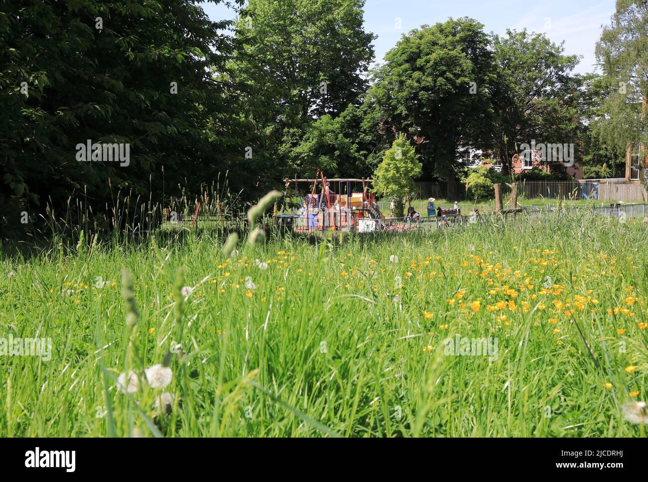 Westow Park, avec des arbres matures et un terrain de jeu pour enfants, près du triangle de Westow et dans le quartier de Croydon, dans le sud de Londres, Royaume-Uni Banque D'Images