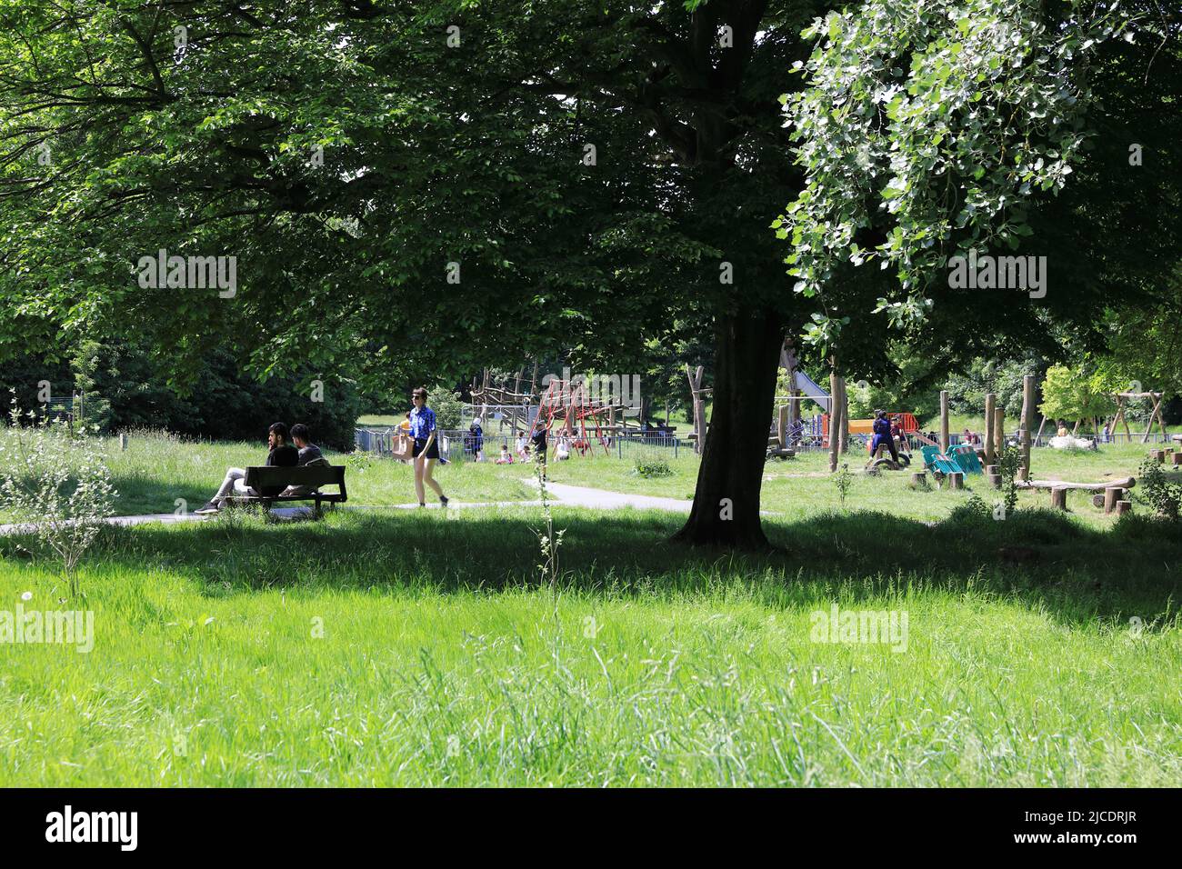 Westow Park, avec des arbres matures et un terrain de jeu pour enfants, près du triangle de Westow et dans le quartier de Croydon, dans le sud de Londres, Royaume-Uni Banque D'Images