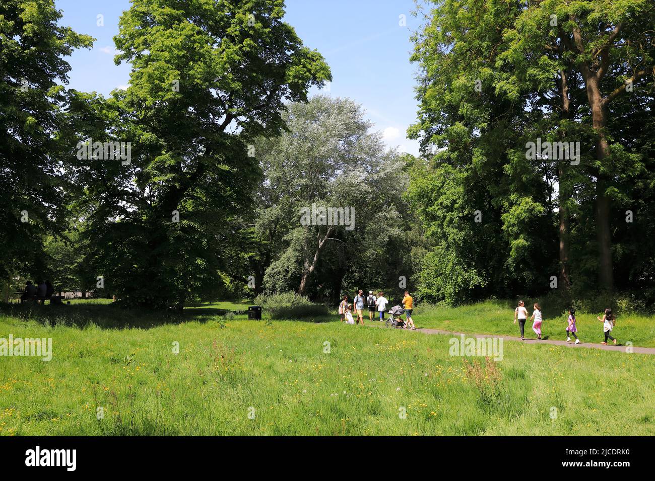 Westow Park, avec des arbres matures et un terrain de jeu pour enfants, près du triangle de Westow et dans le quartier de Croydon, dans le sud de Londres, Royaume-Uni Banque D'Images