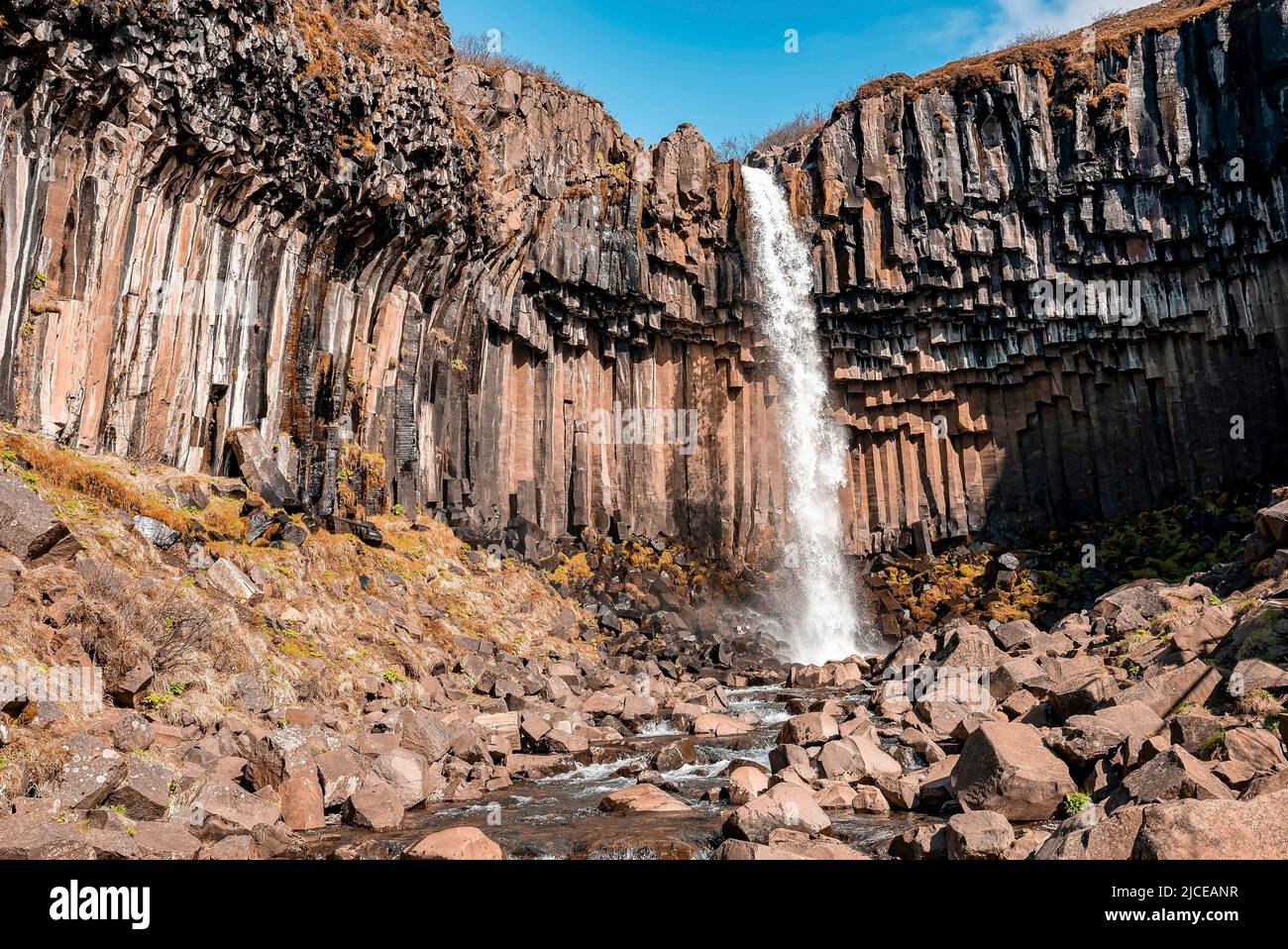 Cascades de la cascade de Svartifoss au milieu des colonnes de basalte dans le parc national Banque D'Images