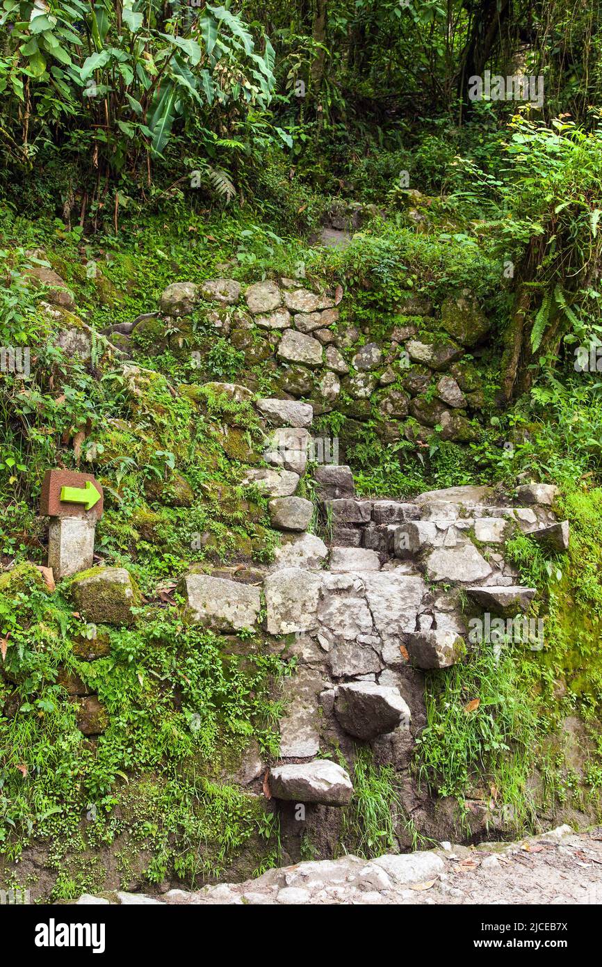 Machu Picchu, chemin vers la ville péruvienne de l'incan, site du patrimoine mondial de l'unesco, vallée sacrée, région de Cusco, Pérou Banque D'Images