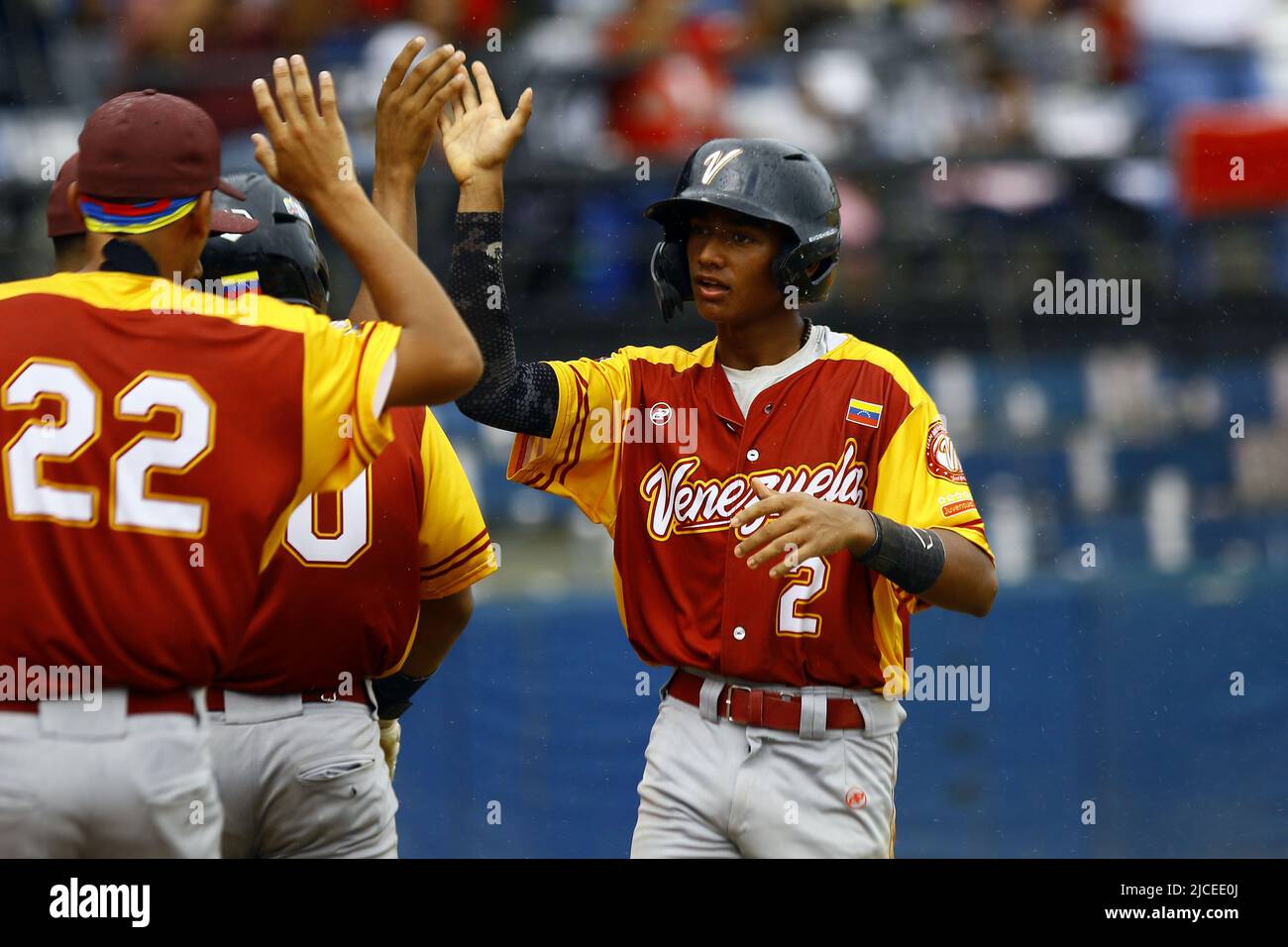 Valence, Carabobo, Venezuela. 12th juin 2022. 12 juin 2022. Le joueur du Venezuela est félicité par ses coéquipiers après avoir effectué l'une des cinq courses de l'équipe. Les deux équipes ont été déclarées vainqueurs de la coupe du monde avant que le match ait été suspendu en raison de la pluie dans le 2nd manger, quand le Venezuela a gagné 5 courses à 2 contre Panama. Comme il ne s'agissait pas d'un jeu de réglementation, la commission a décidé de déclarer les deux équipes gagnantes. La Colombie, le Panama, Porto Rico, la République dominicaine et Cuba y participent également. Le championnat a lieu au stade Jose Perez Colmenares dans la ville de Valence, Carabobo Banque D'Images