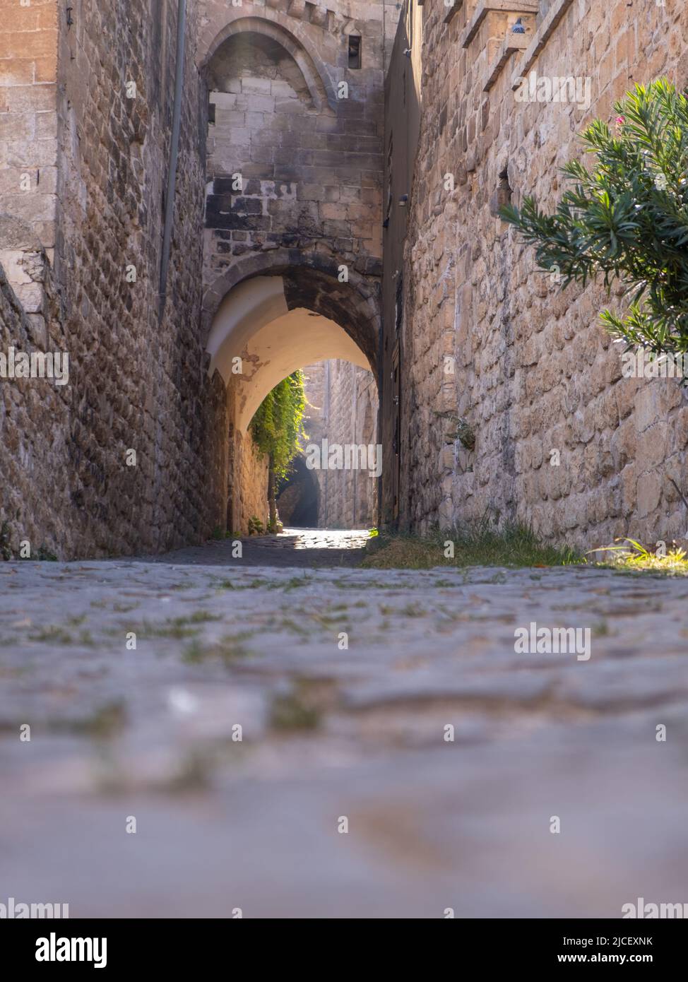 La ville de Mardin, dans l'est de la Turquie, une ville médiévale célèbre pour son agencement en escalier et ses ruelles sinueuses de tunnels Banque D'Images