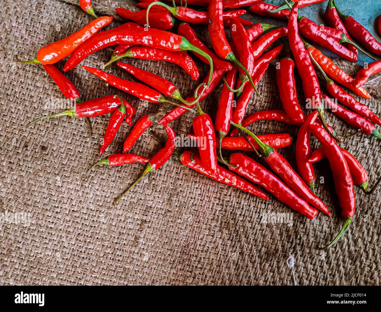 Piments rouges frais sur fond de tissu vintage. Piment rouge frais isolé. Banque D'Images