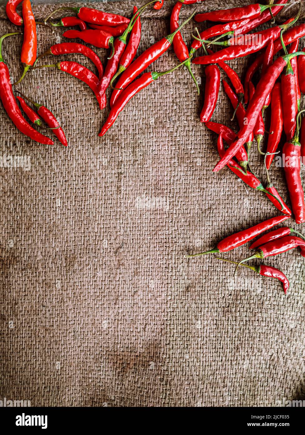 Piments rouges frais sur fond de tissu vintage. Piment rouge frais isolé. Banque D'Images