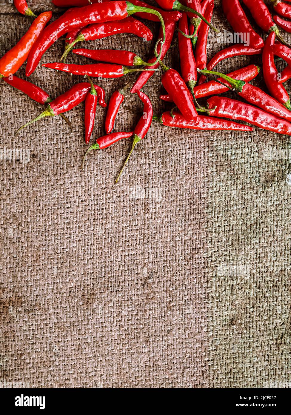 Piments rouges frais sur fond de tissu vintage. Piment rouge frais isolé. Banque D'Images