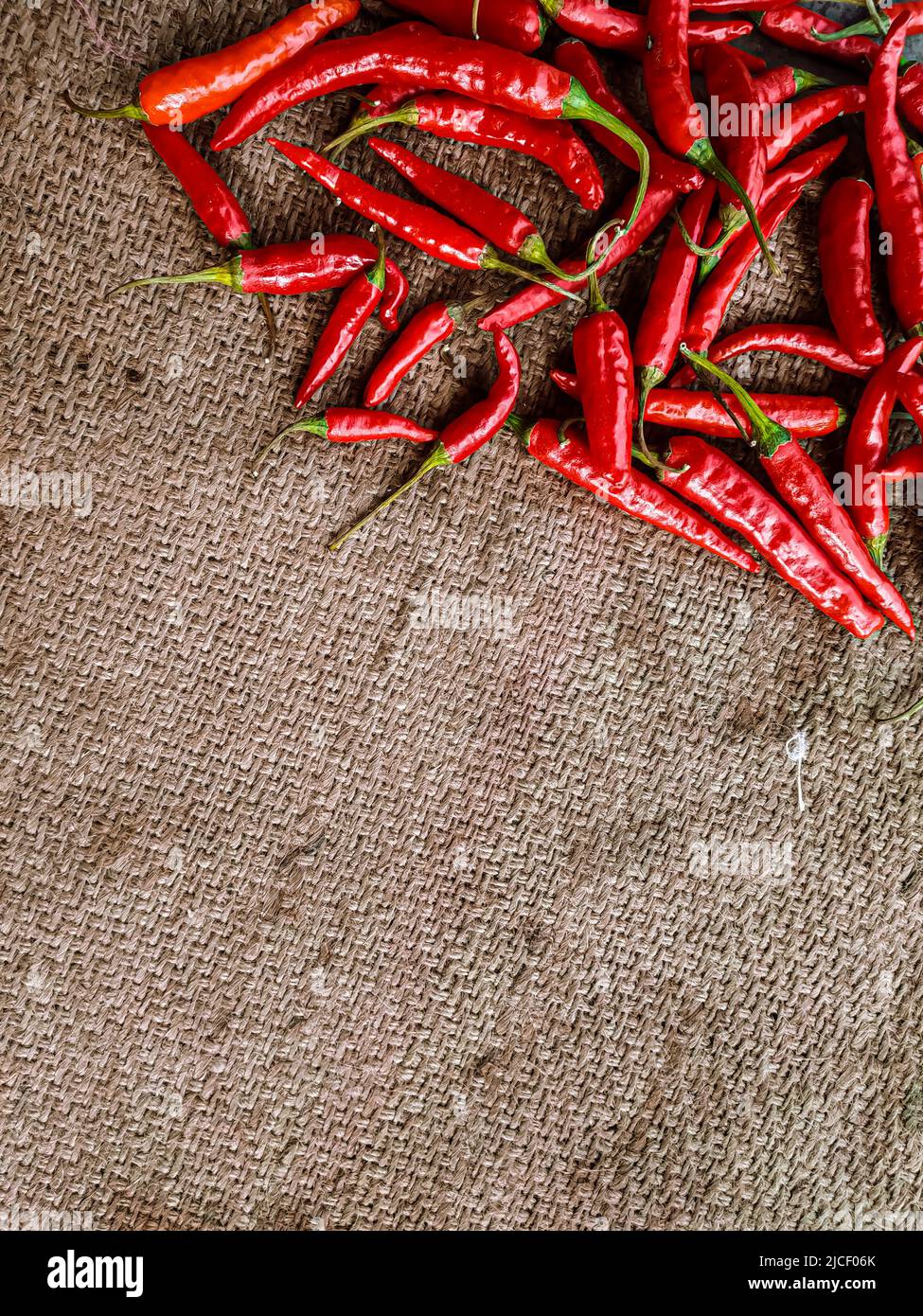 Piments rouges frais sur fond de tissu vintage. Piment rouge frais isolé. Banque D'Images