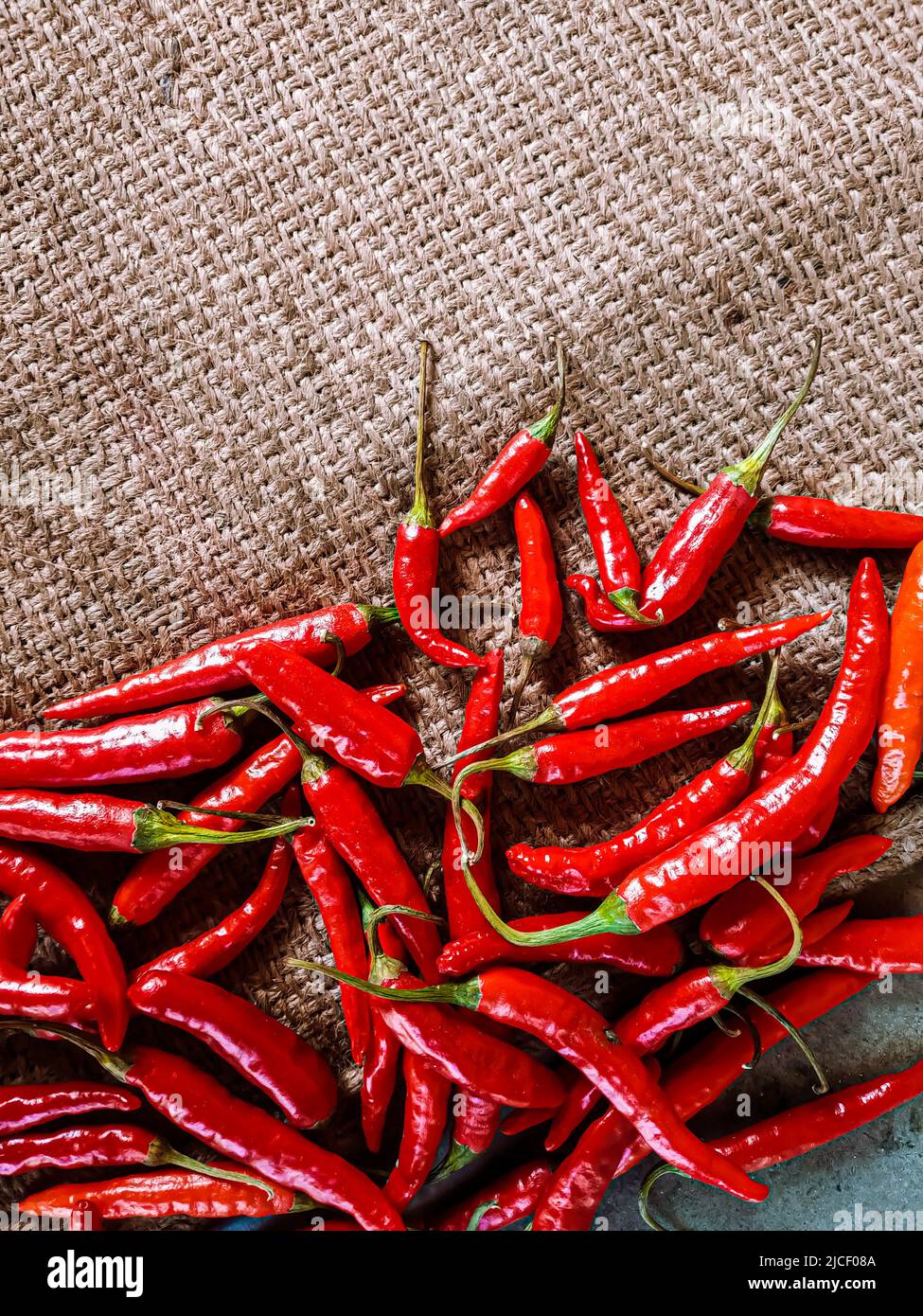Piments rouges frais sur fond de tissu vintage. Piment rouge frais isolé. Banque D'Images