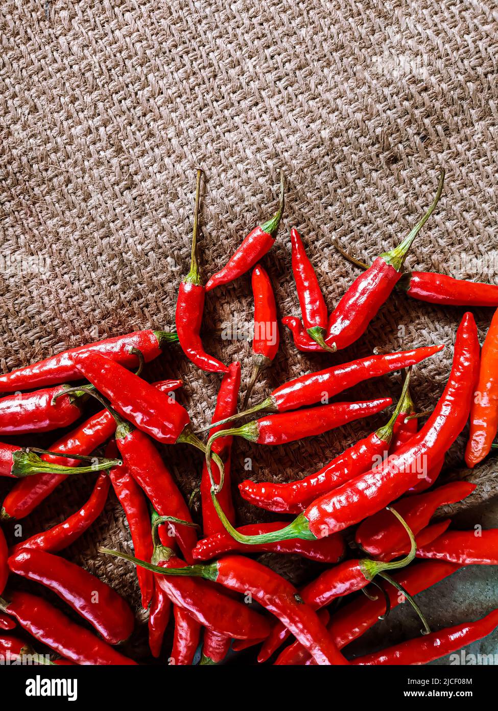 Piments rouges frais sur fond de tissu vintage. Piment rouge frais isolé. Banque D'Images