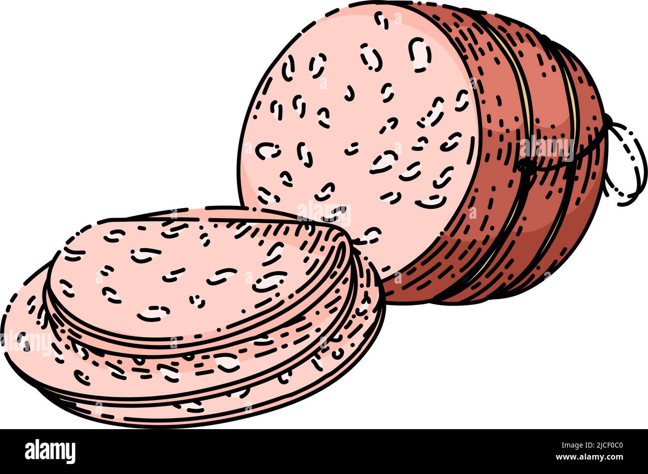 mortadella salami esquisse vecteur dessiné à la main Illustration de Vecteur