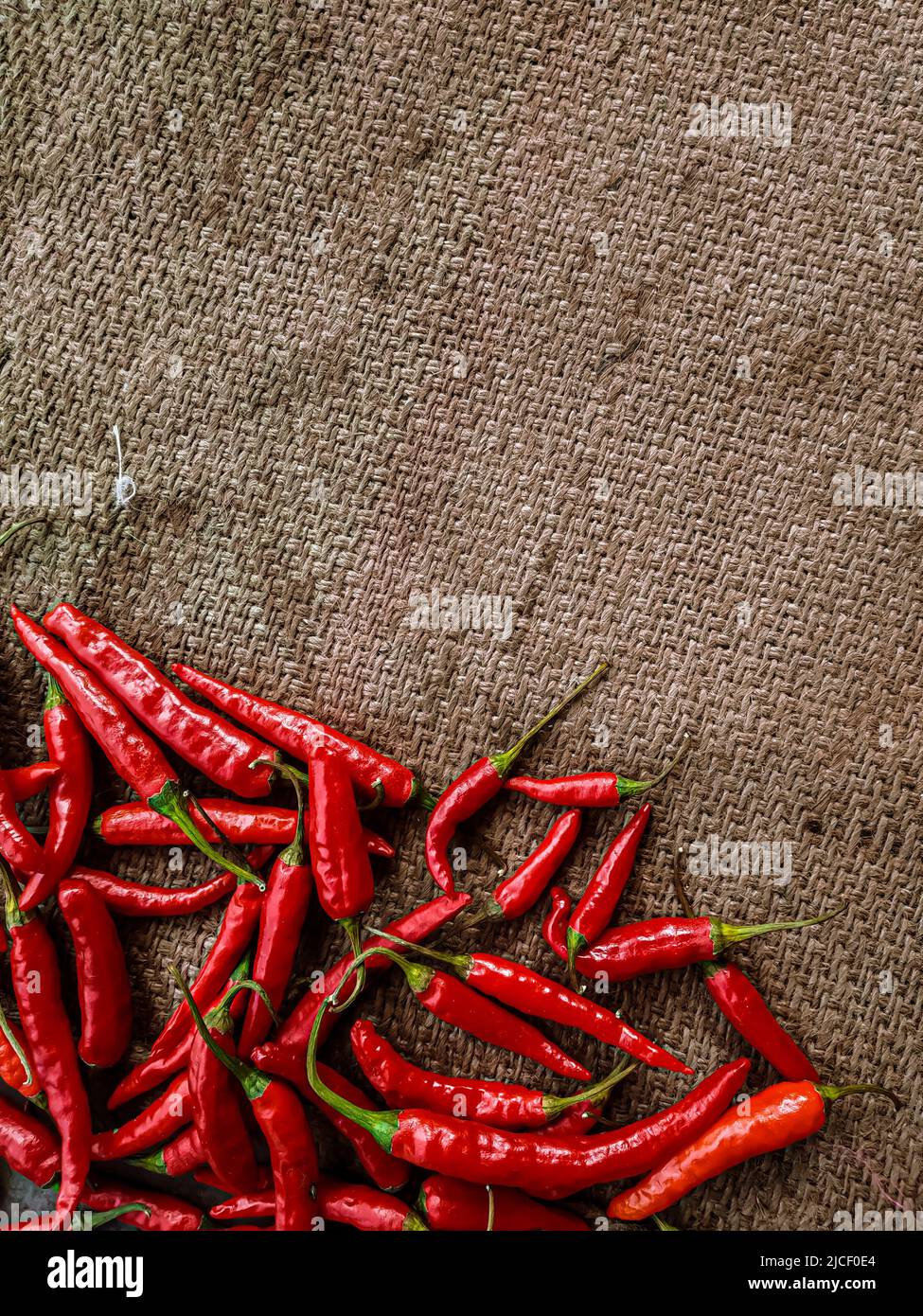 Piments rouges frais sur fond de tissu vintage. Piment rouge frais isolé. Banque D'Images