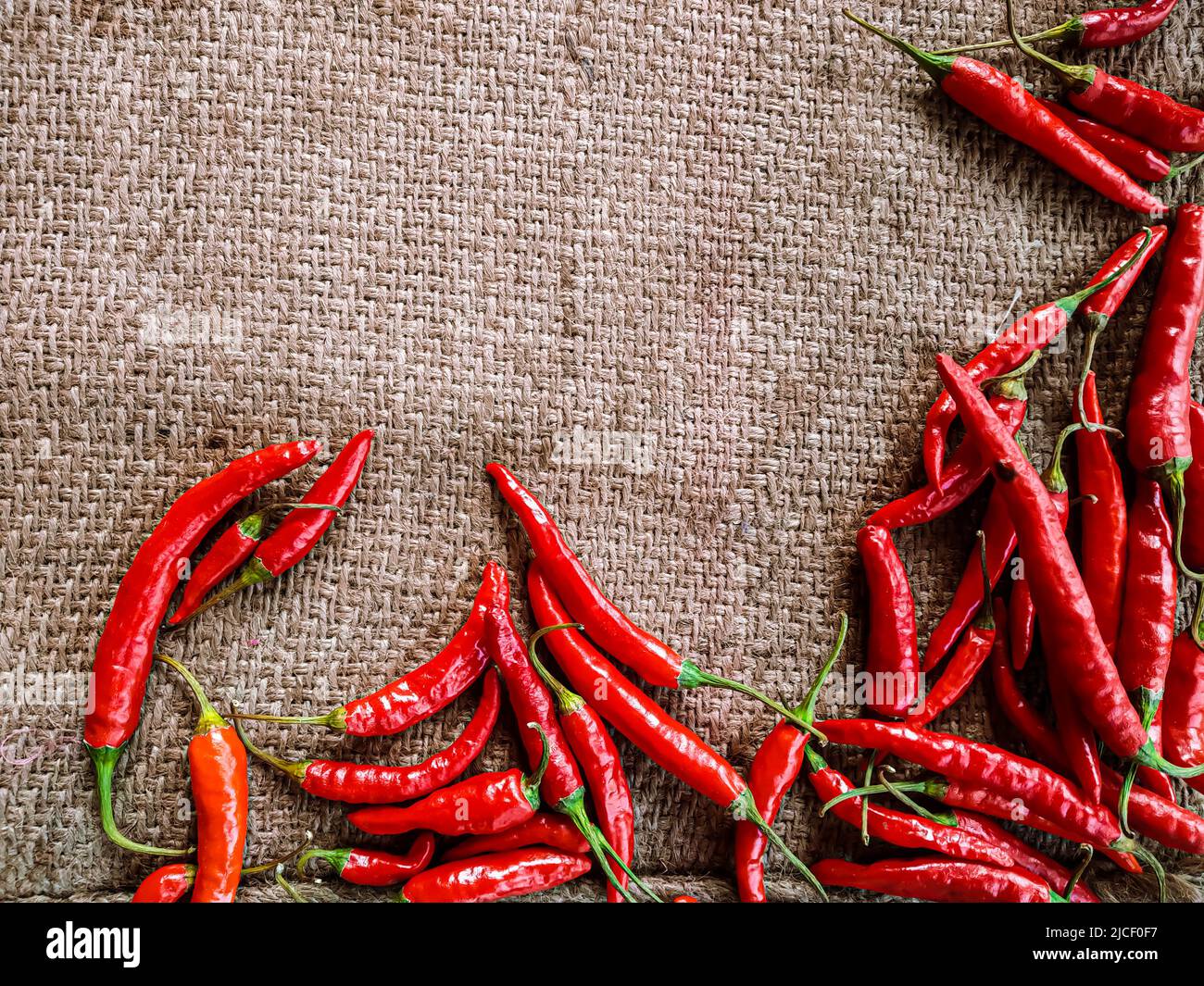 Piments rouges frais sur fond de tissu vintage. Piment rouge frais isolé. Banque D'Images