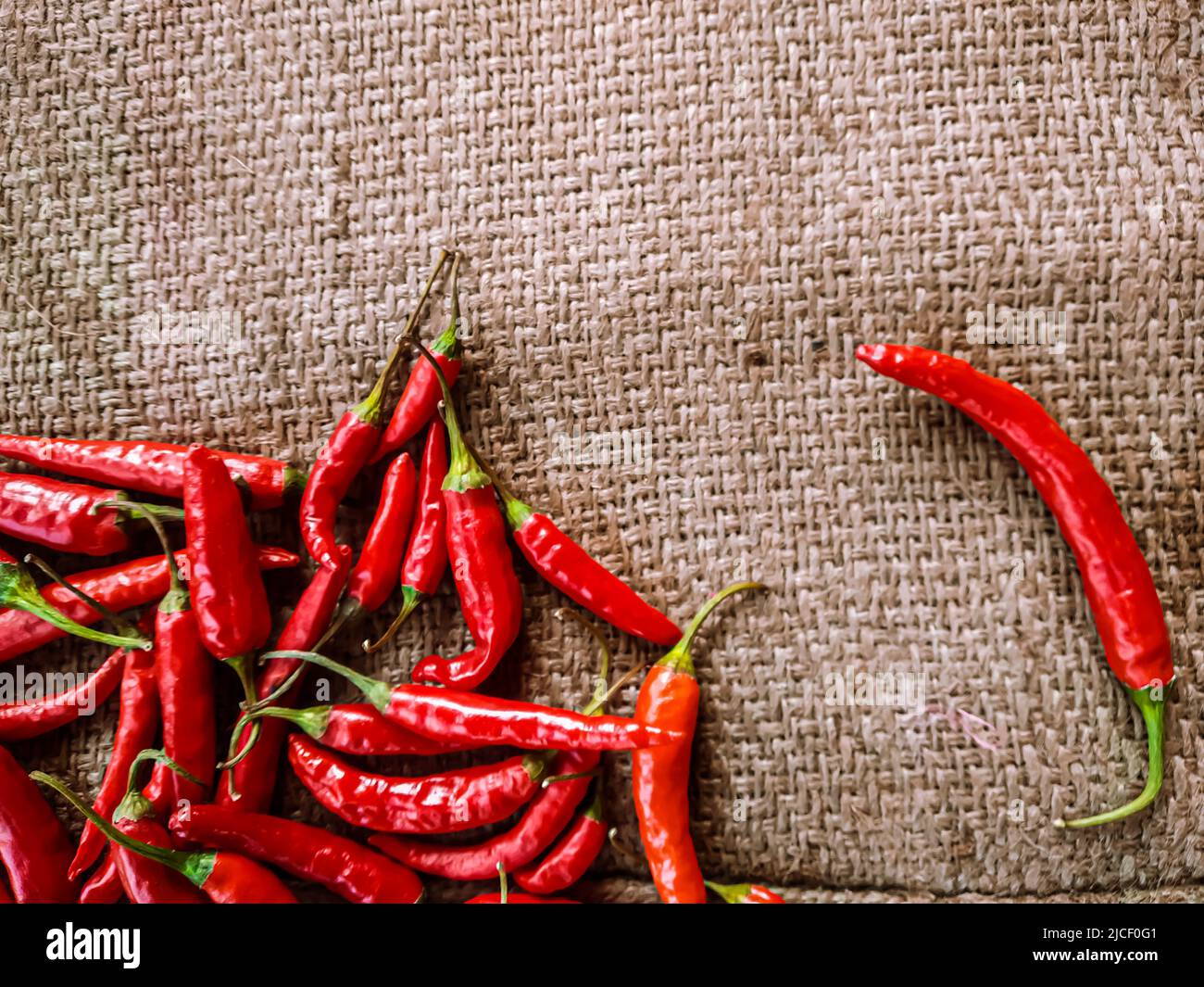 Piments rouges frais sur fond de tissu vintage. Piment rouge frais isolé. Banque D'Images