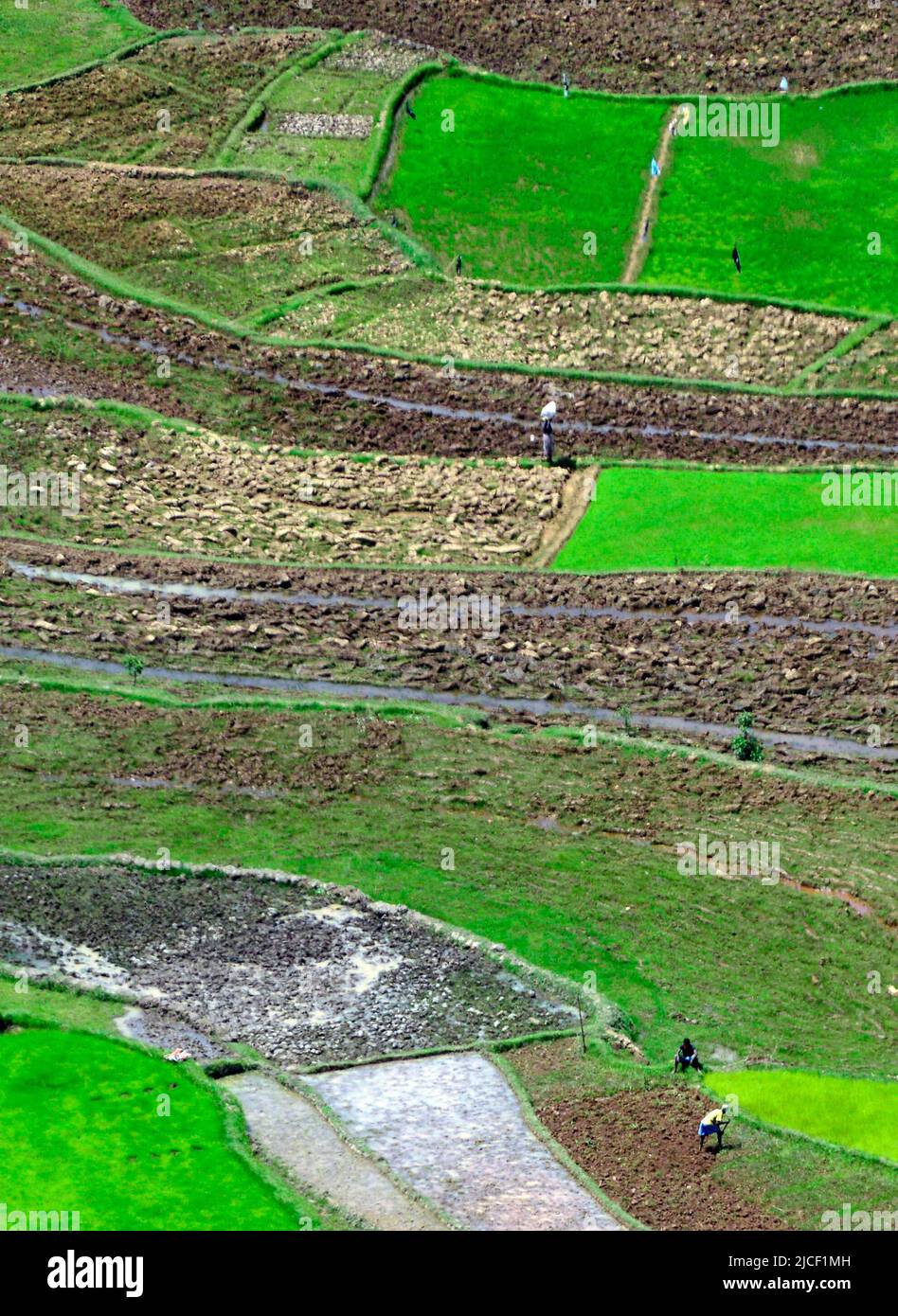 Paysages agricoles autour de la colline d'Ambohimanga, à la périphérie d'Antananarivo, Magagascar. Banque D'Images