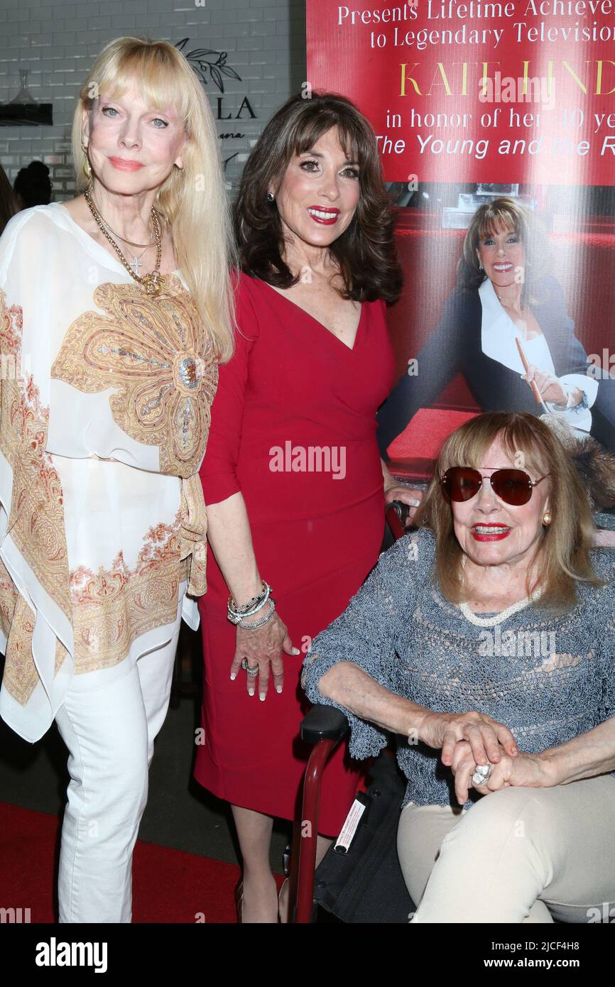 LOS ANGELES - 9 JUIN : Lee Benton, Kate Linder, Terry Moore au Webfest TV de la Côte d'Azur rend hommage à Kate Linder au restaurant la Bella sur 9 juin 2022 à Glendale, Californie Banque D'Images