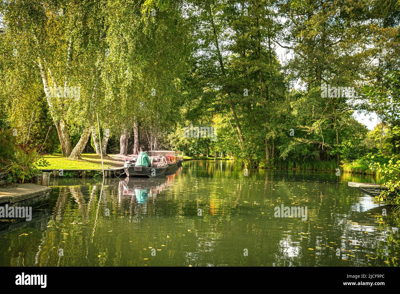 Un bateau sur un canal idyllique dans le Spreewald avec des arbres reflétés dans l'eau Banque D'Images