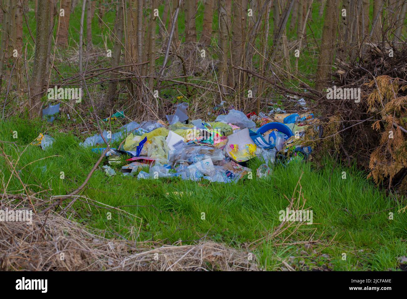 Déchets illégaux déversés dans la forêt en Allemagne, les déchets ménagers privés se trouvent dans la forêt Banque D'Images