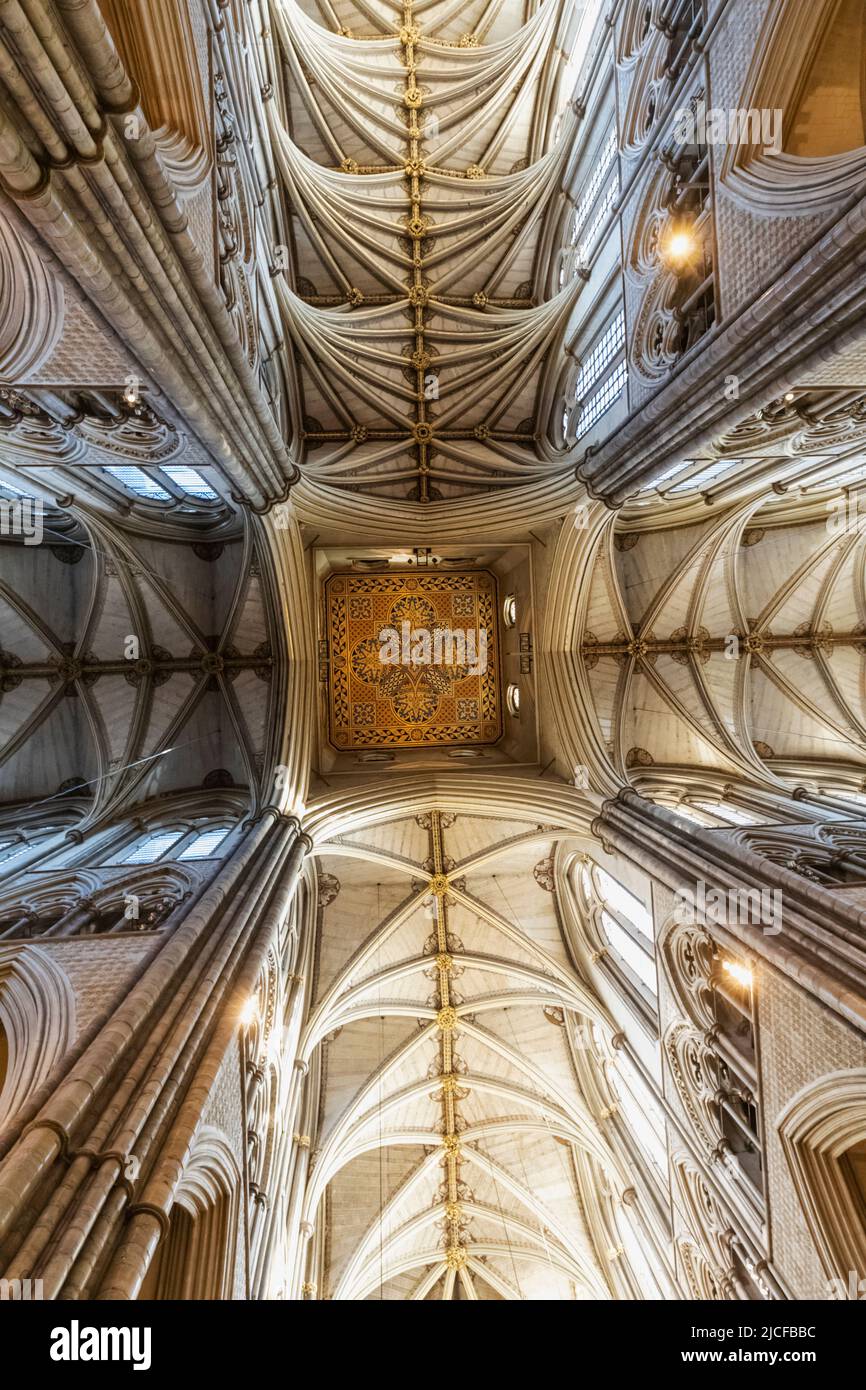 Angleterre, Londres, l'abbaye de Westminster, le plafond voûté Banque D'Images