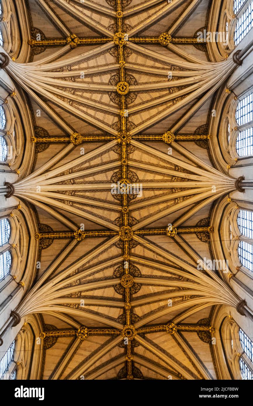 Angleterre, Londres, Abbaye de Westminster, le Nave, détail du motif du plafond voûté du Fan Banque D'Images
