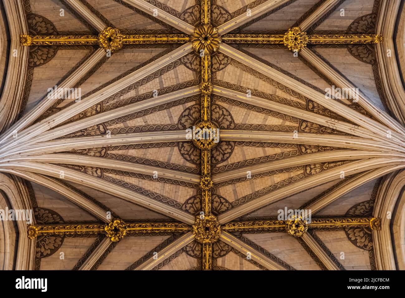 Angleterre, Londres, Abbaye de Westminster, le Nave, détail du motif du plafond voûté du Fan Banque D'Images