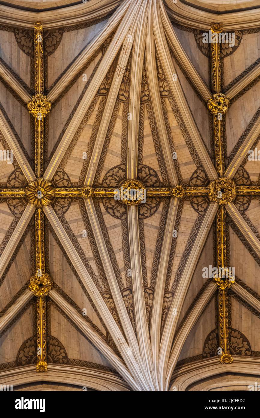 Angleterre, Londres, Abbaye de Westminster, le Nave, détail du motif du plafond voûté du Fan Banque D'Images