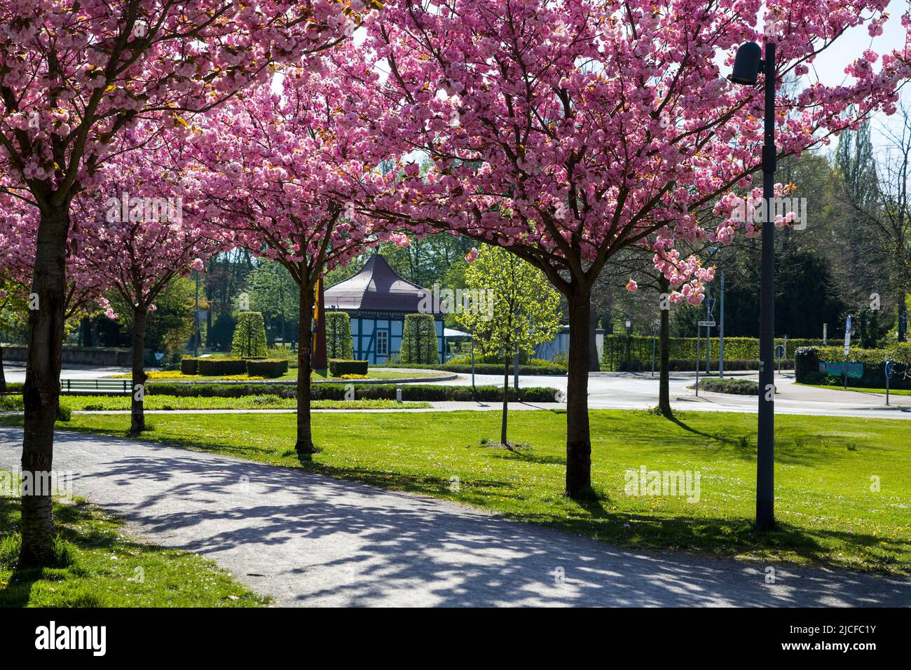 Avenue des cerisiers, rempart, Stadthagen, Basse-Saxe Banque D'Images