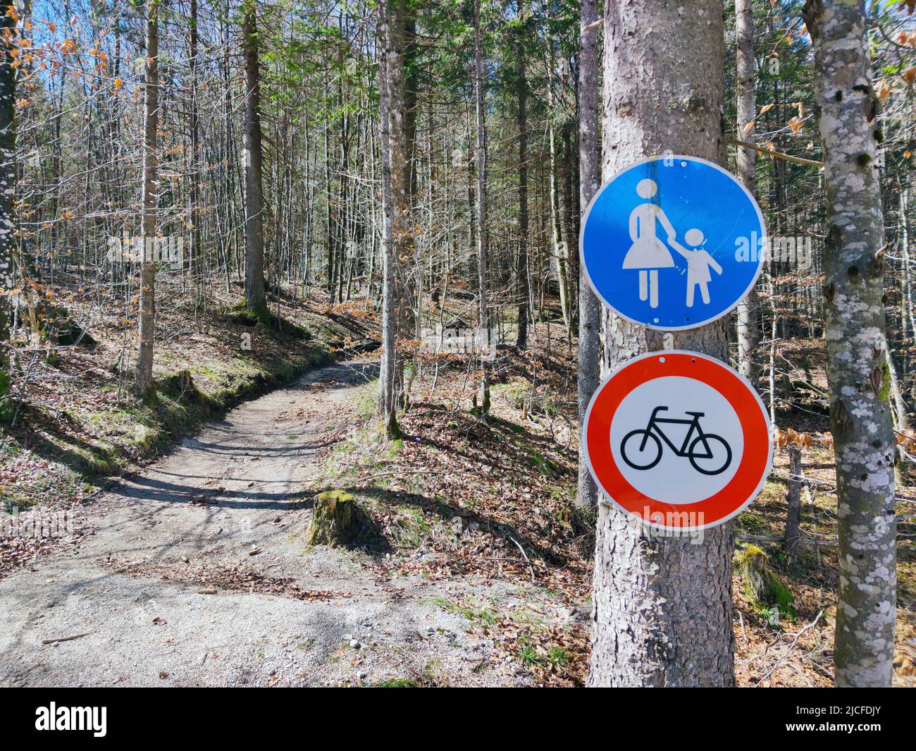 Chemin forestier pour piétons, cyclisme interdit Banque D'Images