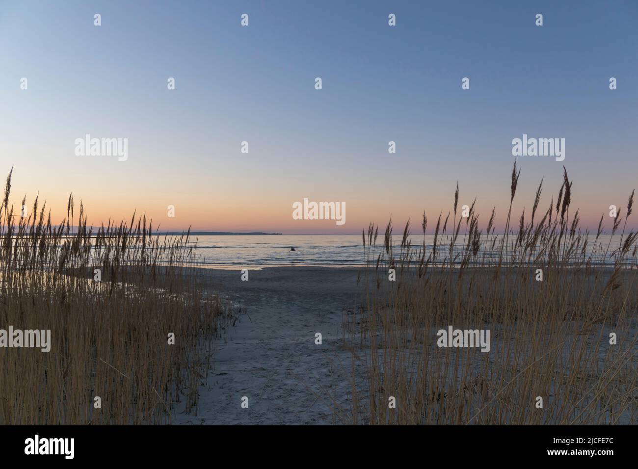 Promenade sur la plage au coucher du soleil sur la plage de Stein à la mer Baltique, Schleswig-Holstein, Allemagne Banque D'Images