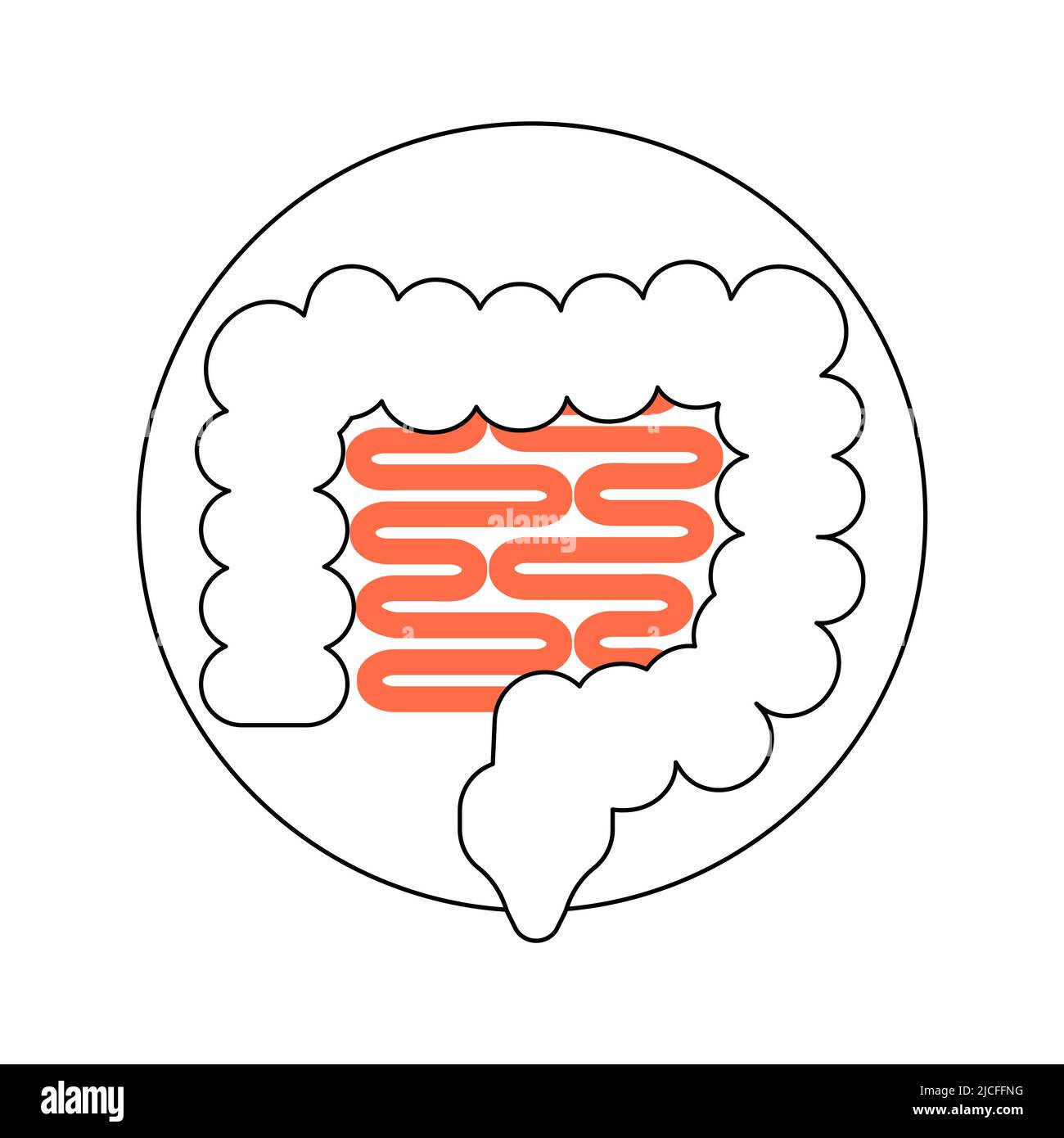 Modèle rond d'icône d'intestins humains, symbole de médicament et de produit pharmaceutique, élément de conception médicale isolé sur fond blanc. Illustration vectorielle Flat Art Illustration de Vecteur