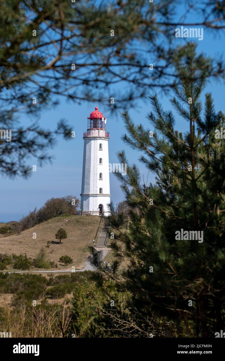 Phare à la Dornbusch, monastère, île de Hiddensee, Mecklembourg-Poméranie occidentale, Allemagne Banque D'Images