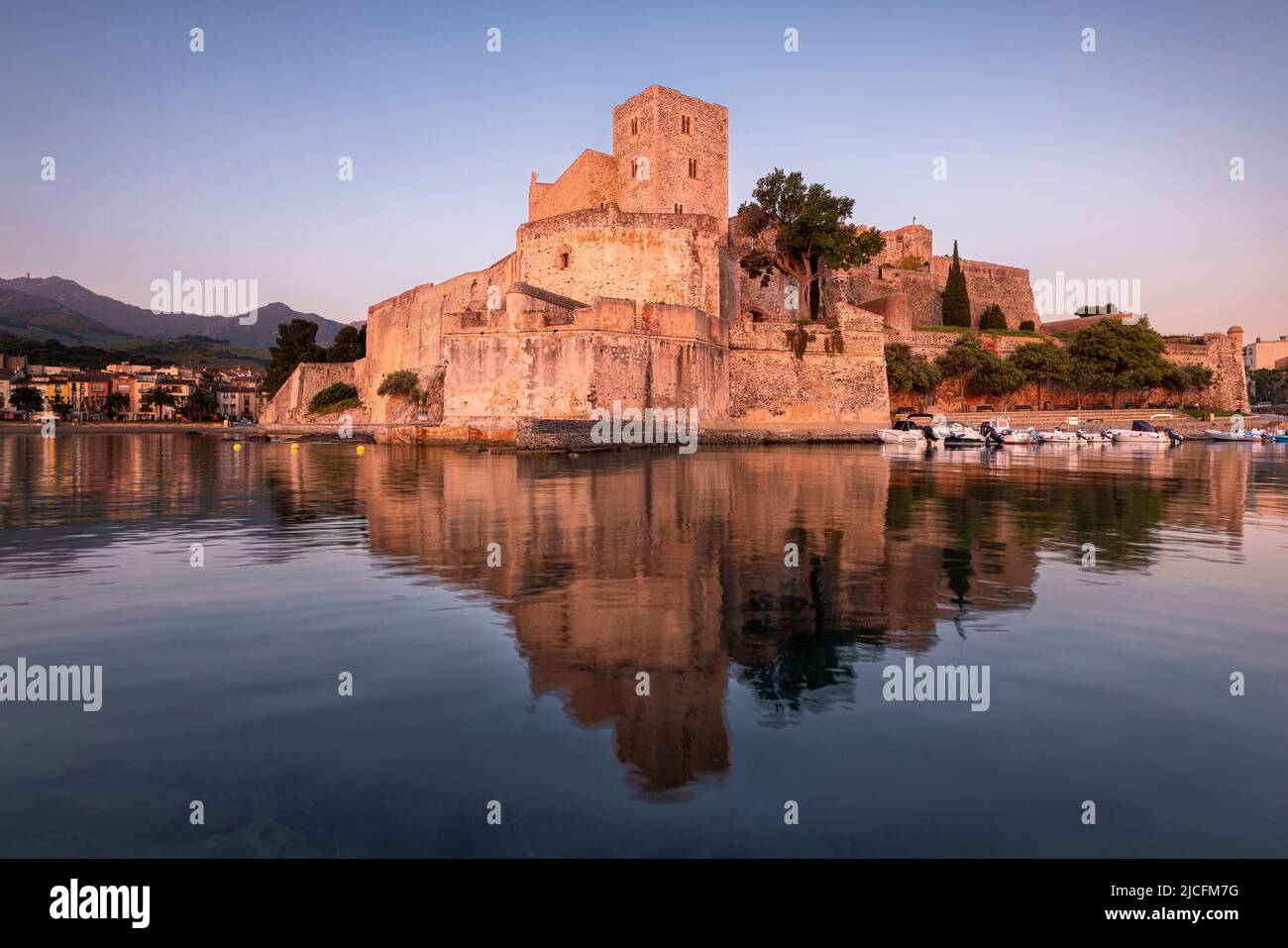 Château et bassin du port à l'aube. Collioure, Occitanie, France. Banque D'Images