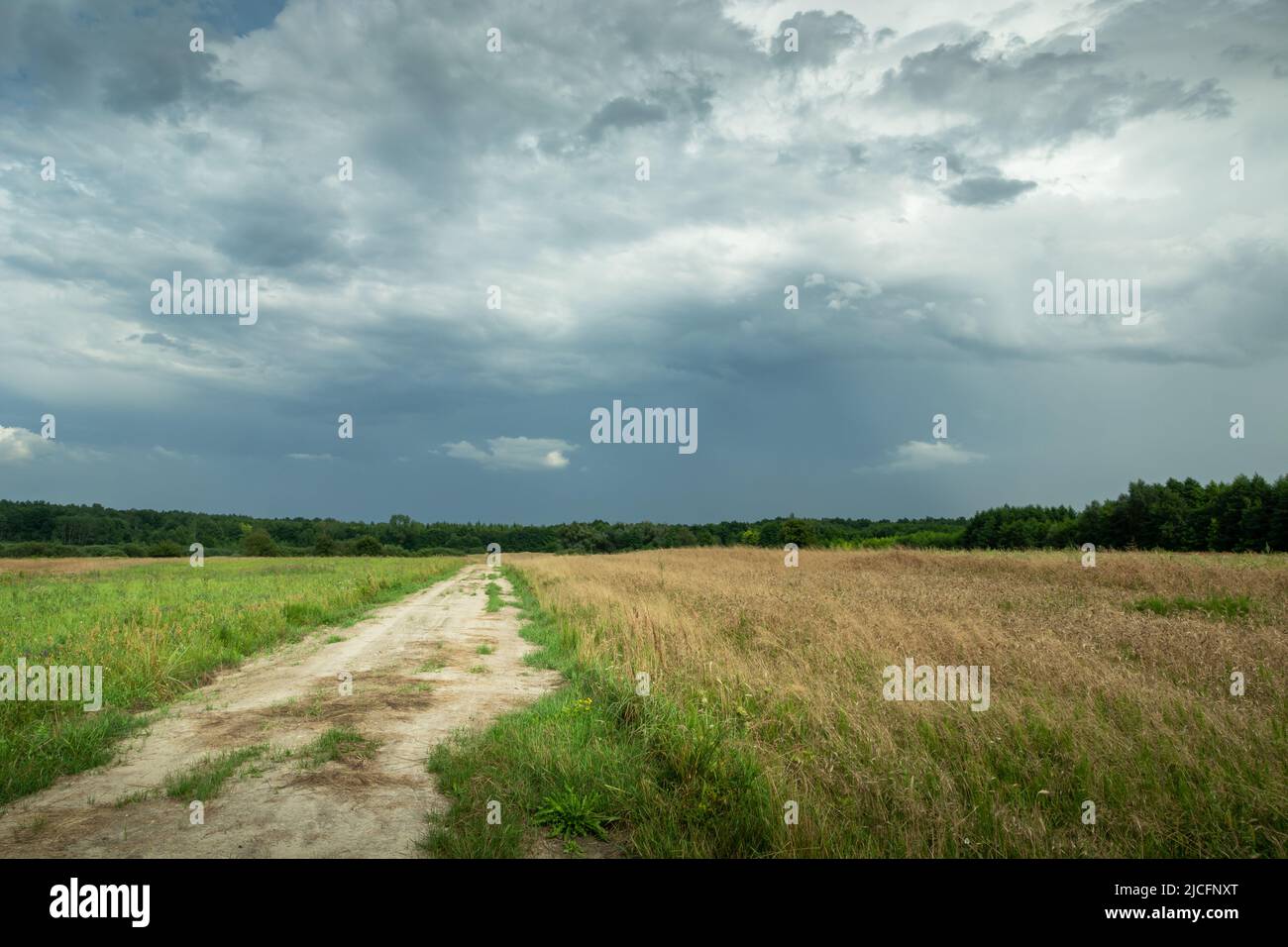 Route rurale à côté d'un champ avec grain et ciel gris nuageux Banque D'Images