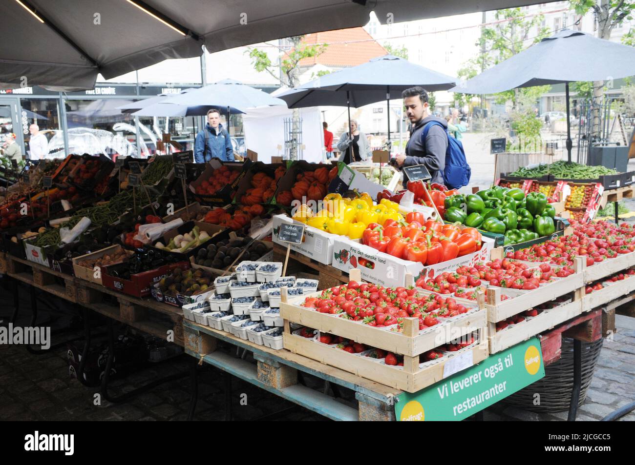 Copenhague/Danemark/.13 juin 2022/.acheteurs de fruits et légumes chez un vendeur de fruits et légumes à Torvehallerne, dans la capitale danoise.(photo..Francis Joseph Dean/Deanimages) Banque D'Images
