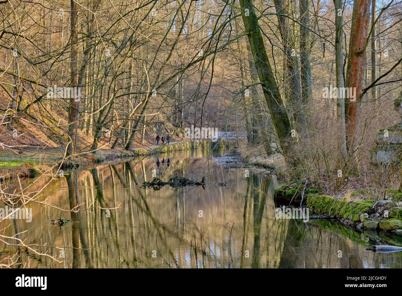 Seifersdorfer Tal, Wachau, Saxe, Allemagne: Paysage fluvial de la Große Röder dans le parc du Seifersdorfer Tal. Banque D'Images