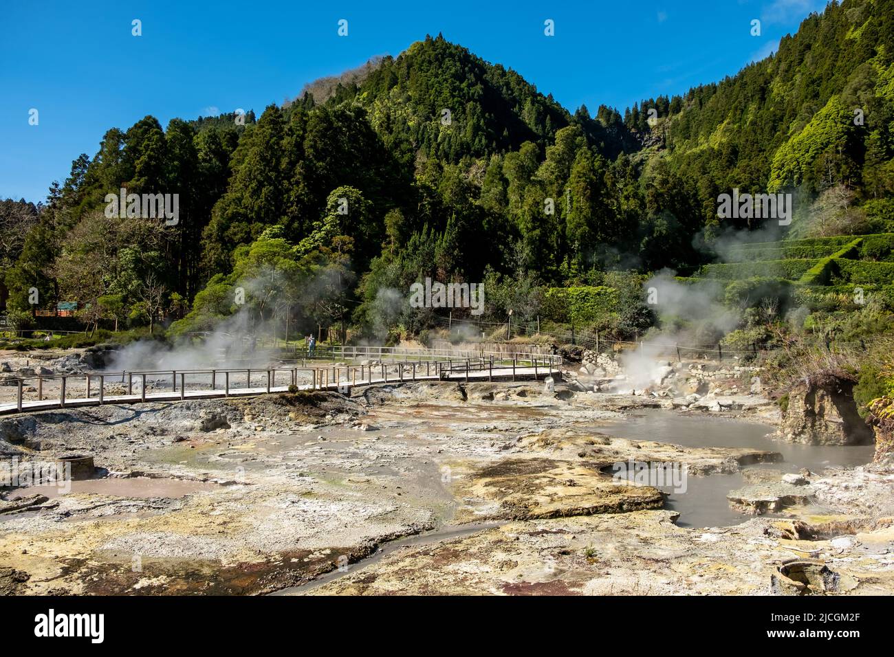 Caldera du lac de Furnas - ' Lagoa das Furnas '. Vapeur s'échappant aux sources chaudes de Furnas sur l'île de São Miguel dans les Açores, au Portugal. Banque D'Images