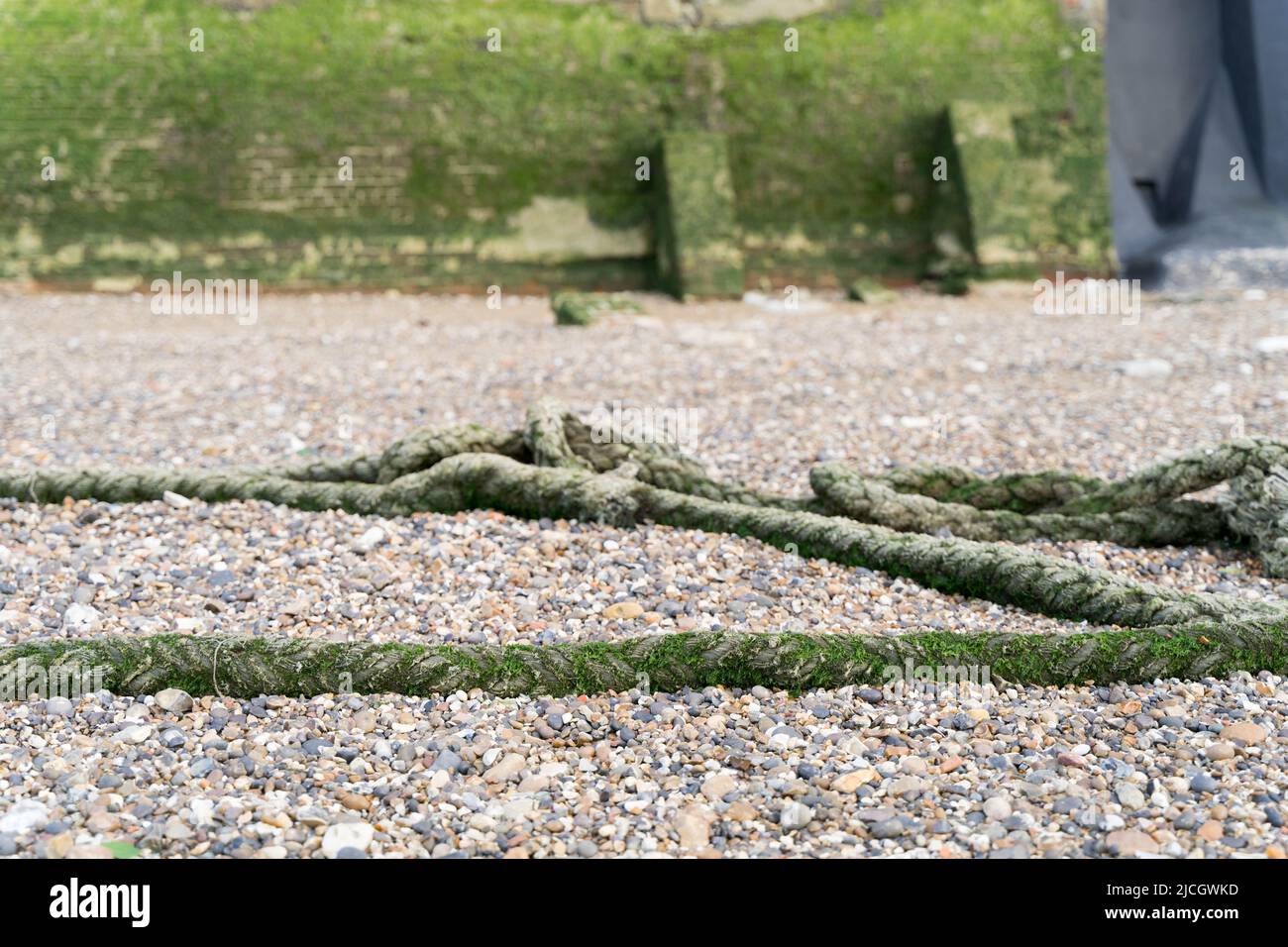 Corde d'amarrage abandonnée et enterrée à Pebble Beach à marée basse dans l'estuaire de la Tamise Angleterre Royaume-Uni Banque D'Images