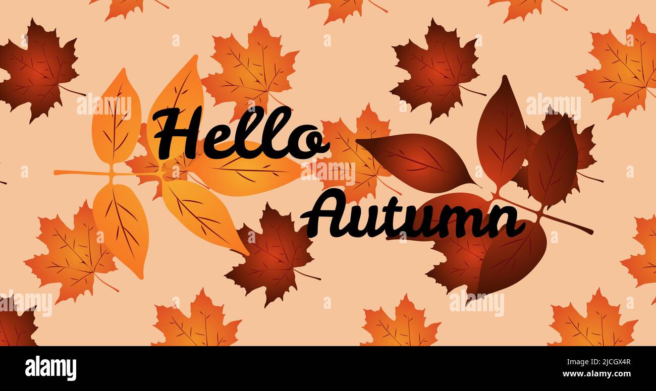Illustration du texte d'automne Hello avec des feuilles marron et orange sur fond pêche Banque D'Images